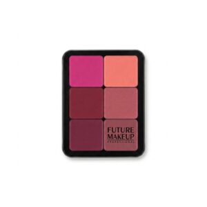 خرید پالت چندمنظوره فیوچر میکاپ (Future Makeup) – فرمولاسیون غنی و حرفه‌ای - کد01