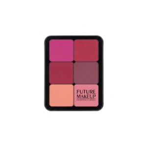 خرید پالت چندمنظوره فیوچر میکاپ (Future Makeup) – فرمولاسیون غنی و حرفه‌ای - کد03